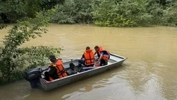 Более 30 участков подтопила река Кума в селе Архангельском на Ставрополье