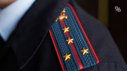 УФАС по Ставрополью проверит производителей курятины из-за повышения цен