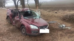Иномарка влетела в дерево в Петровском округе из-за скользкой дороги
