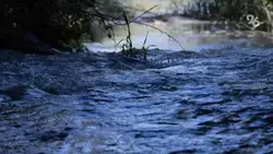 В селе Воздвиженском на Ставрополье уровень воды в реке близок к опасной отметке