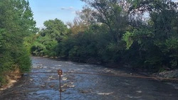 Глава Ставрополья попросил у федеральных властей помощи с расчисткой реки в КЧР