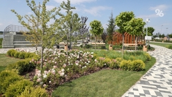 Новое общественное пространство появится в 2024 году в Новоалександровске 