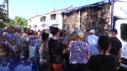 Депутаты думы Ставрополья отправили в ЛНР 1,5 тыс. кур-несушек