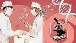 Трансплантология, сосудистые центры и ЭКО: как новые технологии защищают здоровье ставропольцев