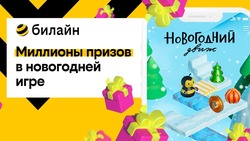 «Новогодний движ» возвращается: ценные призы и подарки ждут ставропольцев в мобильном приложении и на сайте билайна