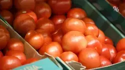 Продовольственные ярмарки ждут ставропольцев на выходных и среди недели