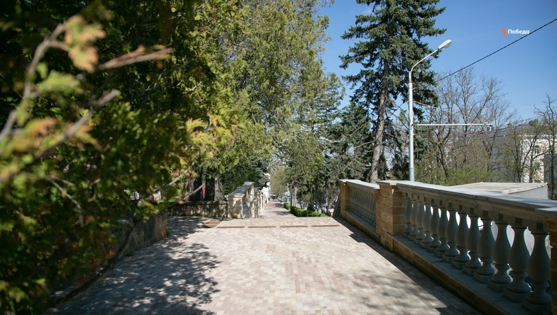 Ставрополь не вошёл в рейтинг самых зелёных городов России