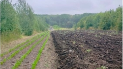 Лесничества и лесхозы Ставрополья проводят летние противопожарные мероприятия