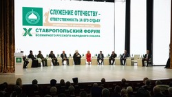 Десятый форум Всемирного русского народного собора прошёл в Ставрополе