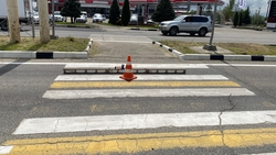 Госавтоинспекция ищет свидетелей наезда на пожилую женщину на юге Ставрополя