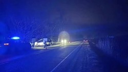 Пьяная велосипедистка попала под колёса иномарки на трассе в Кочубеевском округе