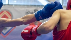 Боксёр из Чечни Имам Хатаев стал чемпионом Северной Америки   