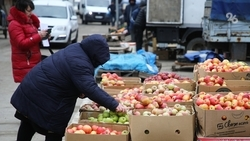 Более 700 ярмарок прошло на Ставрополье с начала года