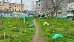 Прокуратура добилась ремонта детской площадки в селе Александровском