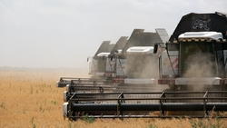 Глава Ставрополья: ветераны СВО смогут поступить в «Школу фермера» без экзаменов