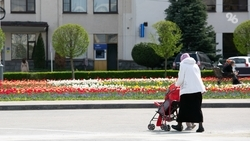 За привлечение бабушек к воспитанию внуков выступает 81% ставропольцев