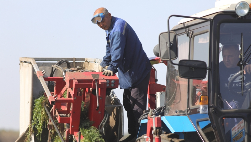 Почти 180 млн рублей направят на поддержку малых хозяйств на Ставрополье 