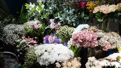 Ставропольцы намерены потратить на цветы и подарки к 8 Марта более 8 тыс. рублей