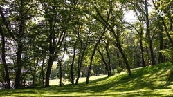 Количество ландшафтных пожаров на Ставрополье уменьшилось на 27%