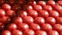 Последняя осенняя ярмарка пройдёт в Пятигорске 25 ноября 