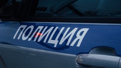 В Московской области возбудили уголовное дело на ставропольца, окунавшего в сугроб девятилетнего мальчика