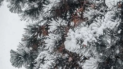 Снег выпал в Ставрополе 2 мая 
