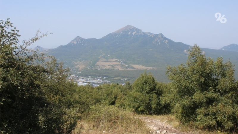 Минприроды Ставрополья выставит снимки животных с фотоловушек в ООПТ