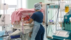 Фонд ОМС готов оплатить 2145 процедур ЭКО по полису на Ставрополье в 2026 году