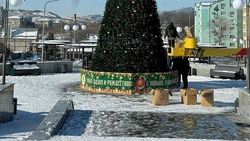 На Курортном озере Железноводска установят новогоднюю ёлку