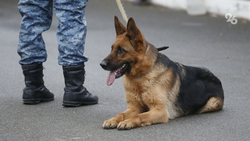 Сообщение о минировании техникума в Кисловодске не подтвердилось