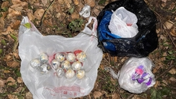 Житель Невинномысска ответит в суде за попытку сбыта полкило «синтетики»