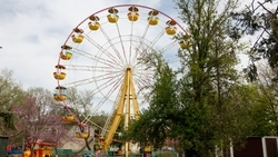 Запрет на прогулки с велосипедом в парке Победы отменила прокуратура Ставрополья