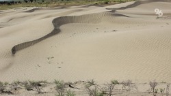 Ставропольские учёные совместно с коллегами из других регионов разработают программу по борьбе с опустыниванием земель