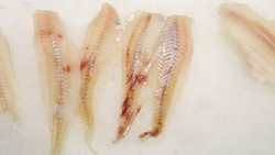 Эксперты Роспотребнадзора рассказали о полезных свойствах трески