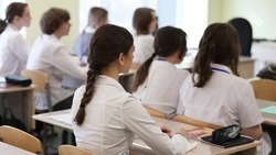 Психологи всегда находятся в контакте с выпускниками — минобр Ставрополья