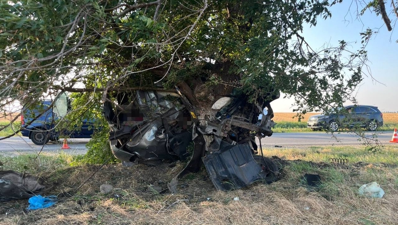 Три человека погибли при столкновении машины с деревом в Кочубеевском округе
