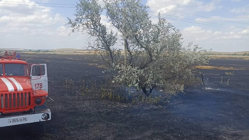 Пожарные за день потушили 51 га пшеничных полей на Ставрополье