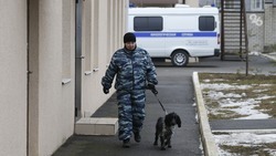 Школы и соцучреждения Кисловодска эвакуируют из-за угрозы минирования
