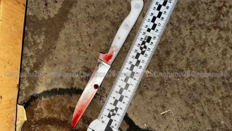 Ставропольца взяли под стражу по подозрению в убийстве брата 