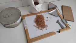 Более 389 тыс. тонн озимых семян планируют проверить на Ставрополье