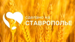 Раздел «Сделано на Ставрополье» появился на крупных маркетплейсах