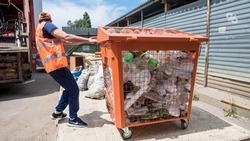 В минЖКХ Ставрополья разъяснили порядок уборки на мусорных площадках