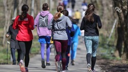 Более 200 спортсменов приняли участие в массовом забеге в Михайловске