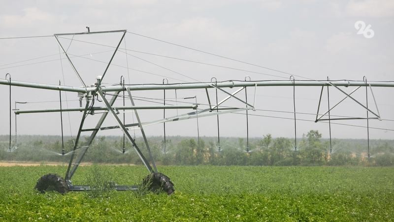 Ставрополье системно развивает мелиорацию — сенатор Совфеда Александр Двойных