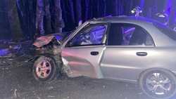Неопытный водитель врезался в дерево на въезде в Ставрополь