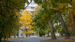 До +28 градусов ожидается на Ставрополье 25 сентября