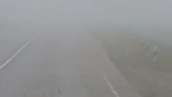 Видимость на дорогах Курского округа не превышает 10 метров из-за тумана