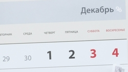 В Госдуме РФ предложили отдыхать 12 дней на новогодних праздниках в 2026 году