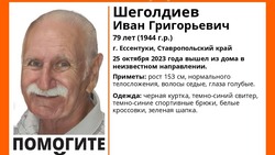 Пенсионера с седыми усами ищут на Ставрополье 