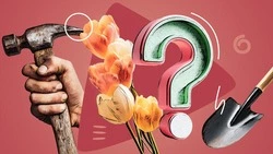 «Мир, труд, май!»: что вы знаете о Празднике Весны и Труда — тест